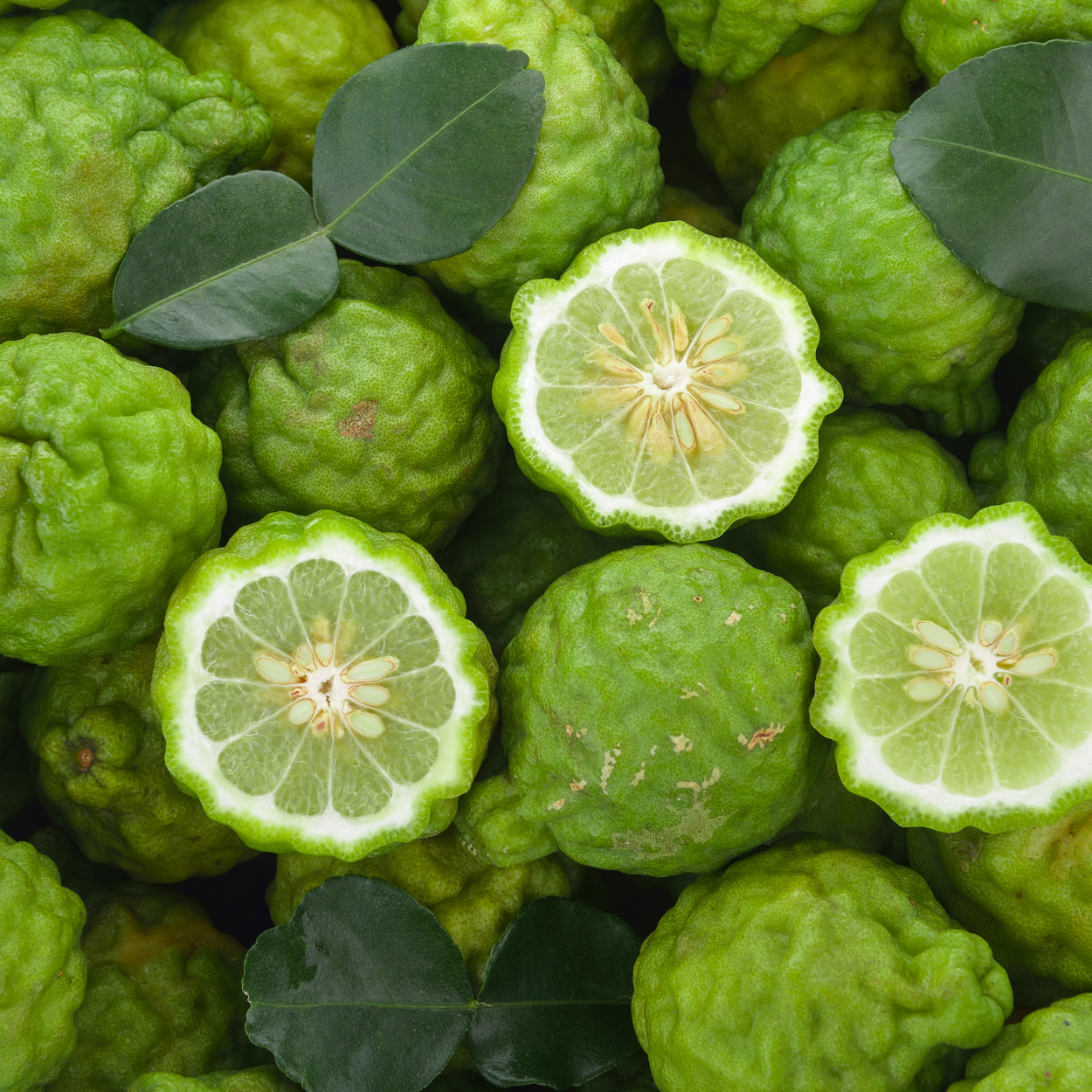 Tinh dầu Bergamot